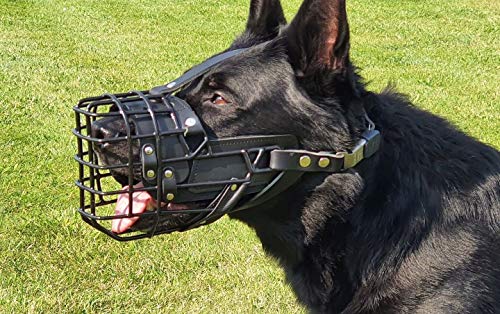 Dingo Gear S03040 - Bozal de metal K9 pequeño para perro pastor alemán