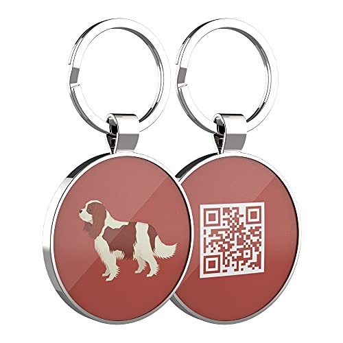 DISONTAG Placas para Perros,Placa para Perros Personalizadas,Placas para Mascotas,Placa De Identificacion Perros,41 Patrones Realistas, Pantalla De Información única | Modificable