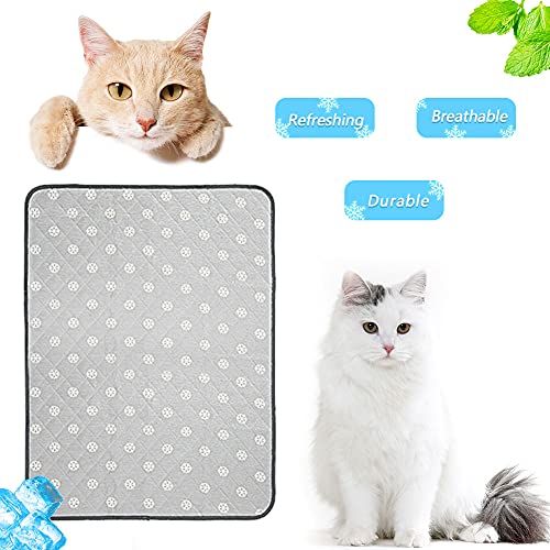 Dricar Esterilla de refrigeración para perros, mascotas, 100 x 70 cm, esterilla de refrigeración para perros, gatos y mascotas, para enfriar en el calor de verano en casa de viaje o en el coche