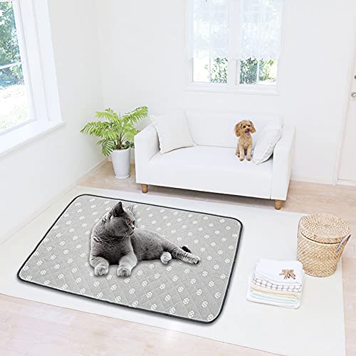 Dricar Esterilla de refrigeración para perros, mascotas, 100 x 70 cm, esterilla de refrigeración para perros, gatos y mascotas, para enfriar en el calor de verano en casa de viaje o en el coche