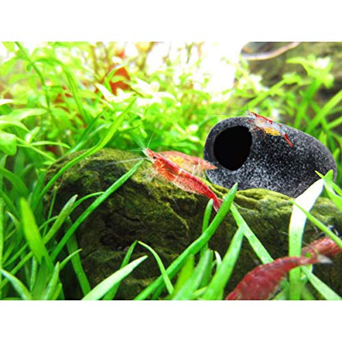 DSTDM Adorno de Acuario, Decoración de la decoración del Tanque de Peces, Paisaje del Tanque de Pescado, Acuario Piedra Hideaway Ornament Cichlid Shrimp Crianza Cueva