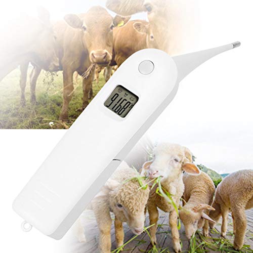 EVTSCAN Mascota Profesional Termómetro Veterinario, termómetro Veterinario Digital rápido, termómetro para Mascotas para Cerdos, Ganado, ovejas, Perros, Caballo (sin batería)