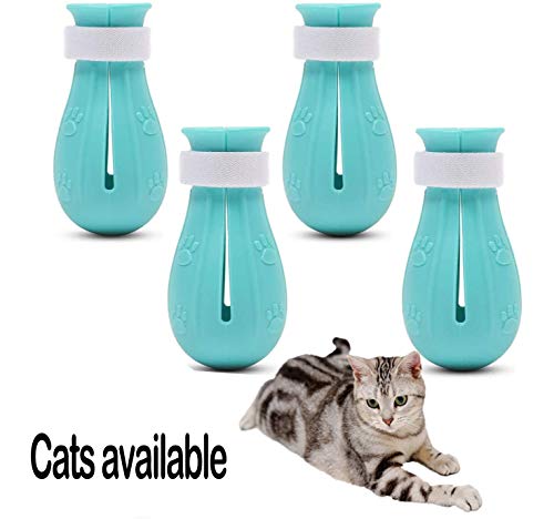 GazyyShop zapatos de silicona para gatos resistentes a los arañazos, funda protectora para bañarse y arreglarse, recortar y amamantar, 4 tipos de fundas para zapatos resistentes a los arañazos
