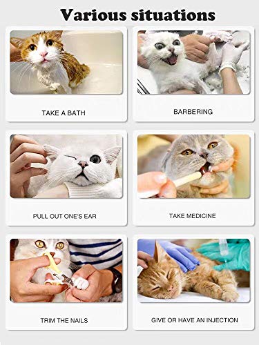 GazyyShop zapatos de silicona para gatos resistentes a los arañazos, funda protectora para bañarse y arreglarse, recortar y amamantar, 4 tipos de fundas para zapatos resistentes a los arañazos