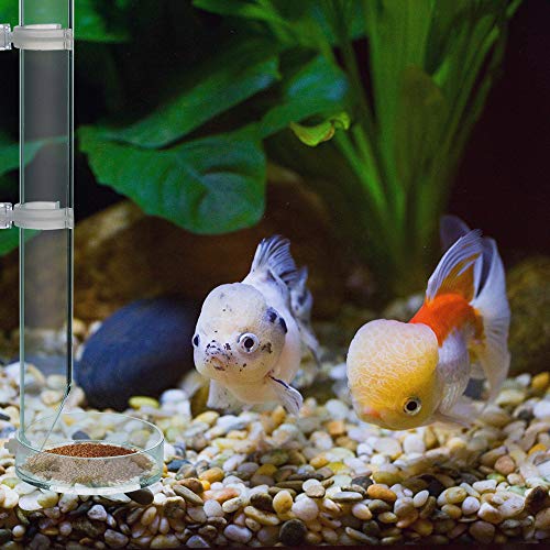 Gobesty Tubo de alimentación de camarones, Plato de alimentación de camarones de acrílico Transparente de 25 cm con Tubo Largo para Acuario Tanque de Peces Cangrejo de Cristal Cangrejos Almejas