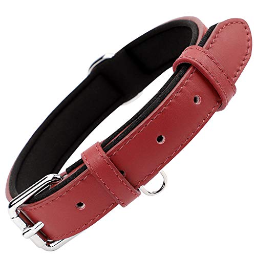 Grand Line Collar de Perro de Cuero Duradero Acolchado Suave con Perforador de Agujeros, Rojo(M)