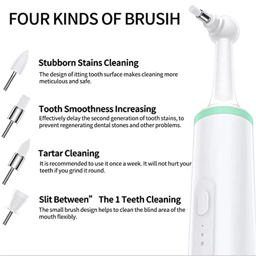 HCCTOZZ Cepillo de Dientes eléctrico para Mascotas, pulidor de Dientes, Limpiador bucal, Manchas de Placa Dental y Herramientas de blanqueamiento, Limpiador de Dientes, Cuidado Dental(Color:B)