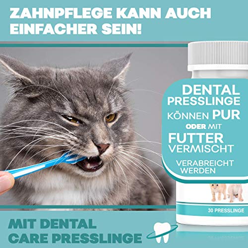 HelloAnimal DENTAL - Presslingas para perros y gatos - Eliminador de sarro también para espacios intermedios, limpieza de dientes y cuidado dental - para el mal aliento