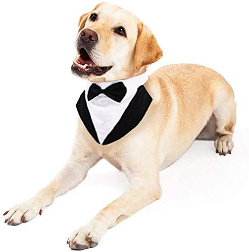 Hjyokuso Traje de Esmoquin para Perros de Tamaño Pequeño/Mediano/Grande, Ropa para Mascotas, Camisa para Cachorros con Lazo Negro Extraíble, Disfraz Formal para Bodas y Festivales(Negro, M)