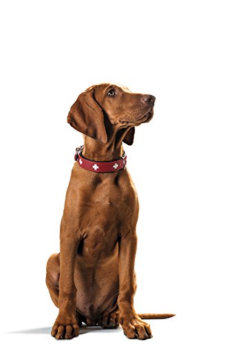 Hunter - Collar Swiss 47-54Cm Rojo/Negro