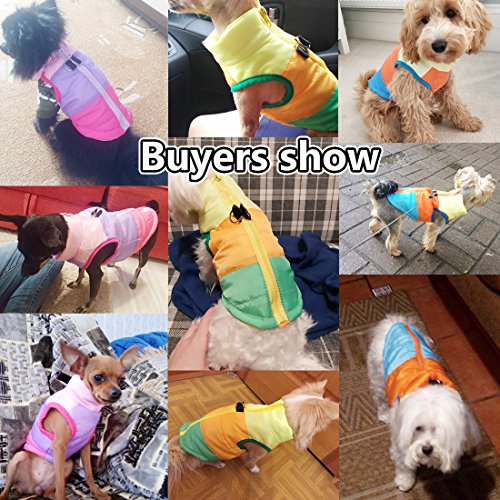 Idepet Mascota Perro Gato Escudo con Correa Ancla Color Patchwork Acolchado Cachorro Chaleco Teddy Chaqueta Chihuahua Disfraces Pug Ropa XS S M L (XS, Rosado)