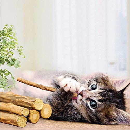 JIASHA Palitos de Catnip para Gatos, Juego de 30 palitos de Hierba gatera para Gato,Protección del Cuidado Dental, Adecuado Juguete para Gatos de Interior (1)