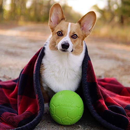 Jolly Pets Jolly Bola DE FÚTBOL