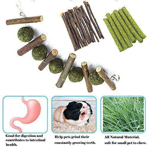 Joody Casa de Herbe para pequeño animal Cachete, alfombra de juguete masticable natural, pelota de ratán, cuerda y bastones de manzana, pino para conejo, cerdo de India