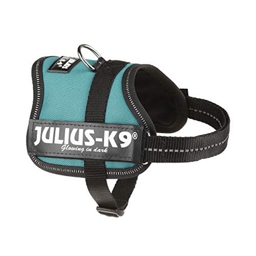 Julius-K9 162DG-BB2 - Arnés para Perros, Verde (Verde Oscuro), 2XS/Baby 2, 1 unidad