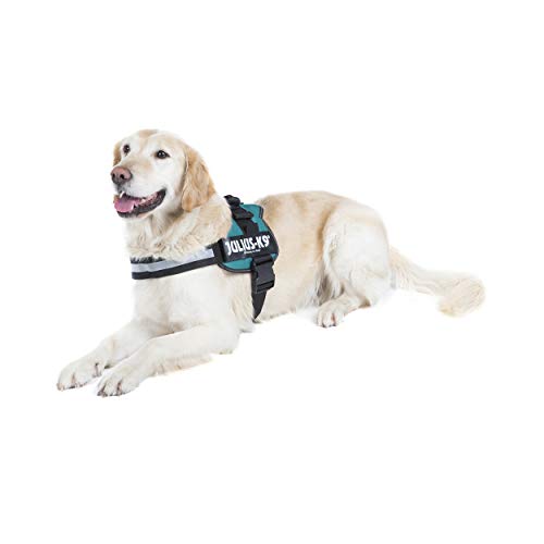 Julius-K9 162DG-BB2 - Arnés para Perros, Verde (Verde Oscuro), 2XS/Baby 2, 1 unidad