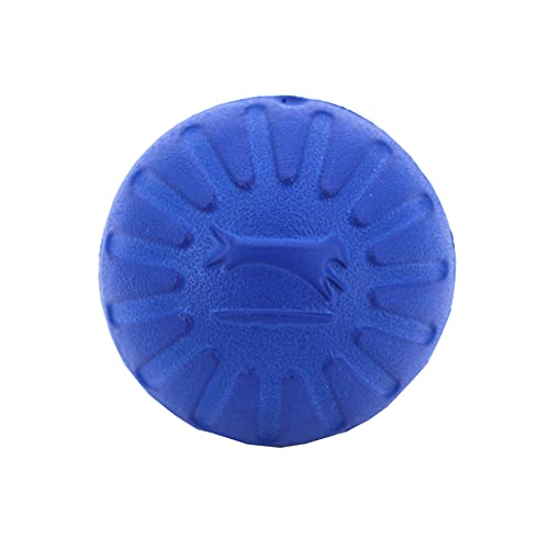 Julius-K9 59845 Fantastic Durafoam Ball - 2, 5", Ø APPR. 7 cm, Blue, M, Azul