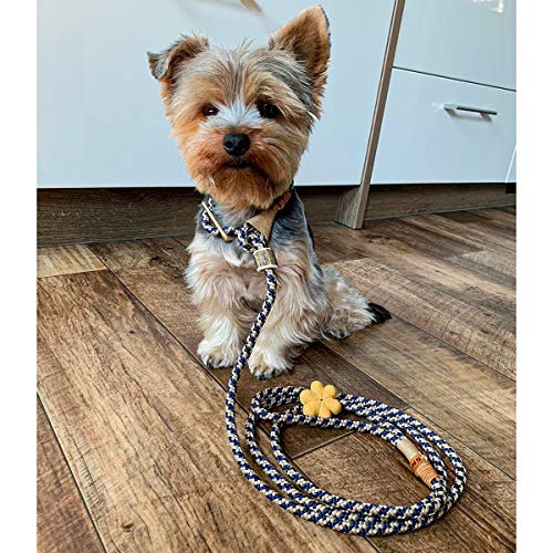 KENSONS for dogs Correa para Perros 'Elegant', Color Azul y Beige, 8 mm de Grosor, con Tope de Cuerno de Ciervo y Cuerno de tacón, Collar y Correa en un Cuerpo de Perro