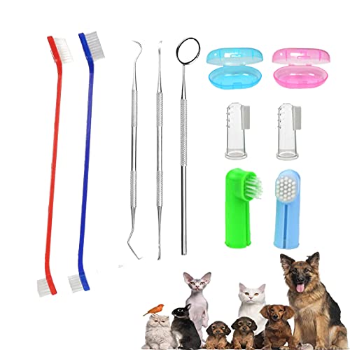 Kit De Cepillo De Dientes Para Perros,Cepillo De Dientes De Silicona,Cepillo De Dientes De Mango Largo,Herramientas De Metal, Kit Profesional De Limpieza De Dientes Para Mascotas(11 Piezas)