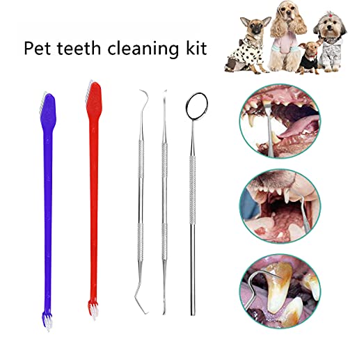Kit De Cepillo De Dientes Para Perros,Cepillo De Dientes De Silicona,Cepillo De Dientes De Mango Largo,Herramientas De Metal, Kit Profesional De Limpieza De Dientes Para Mascotas(11 Piezas)