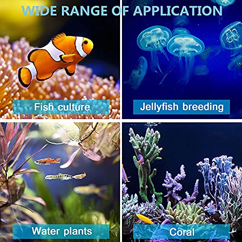KOOWARM Enfriador de Agua para acuarios 10 ℃ - 40 ℃ Termostato de Acuario Equipo de Cultivo de mariscos para Agua Salada/Agua Dulce Enfriador de pecera 30-50 L para malezas acuáticas/Medusas/Coral