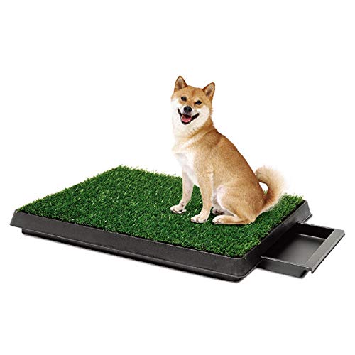 Lindhb Arenero para Gatos Caja de Arena para Gato Baño para Mascotas en el Interior Bandeja para el cojín de la Hierba Estera de Entrenamiento Baño para el Inodoro para Perros Cachorro Orinal
