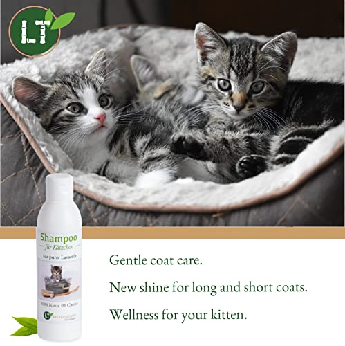 LT-Naturprodukte Champú para gatitos | Bio | Cuidado suave para pequeños gatitos sin productos químicos ni jabón | contra picor | Hipoalergénico | con lavaerda blanca original | 250 ml