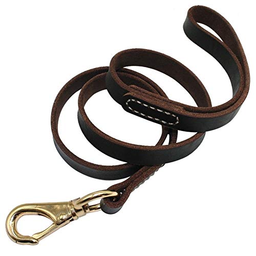 LUCHUII Correa de Perro, Colores Grandes Perros Mascotas Caminar Correa de Cuero Genuino Correas formación Correa 110cm Longitud Ancho Negro Marrón 1.6/2.0cm (Color : Black, Size : M)