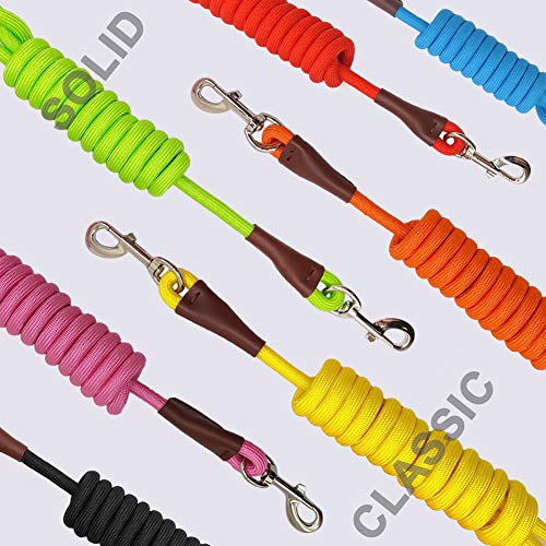 MayPaw Correa para Perro de 4pies /6pies /8pies /10pies, Colores sólidos clásicos, Correa Duradera para Perro con Cuerda de Escalada Reforzada con Cuero Tailor Connection Cierre de Plata Resistente