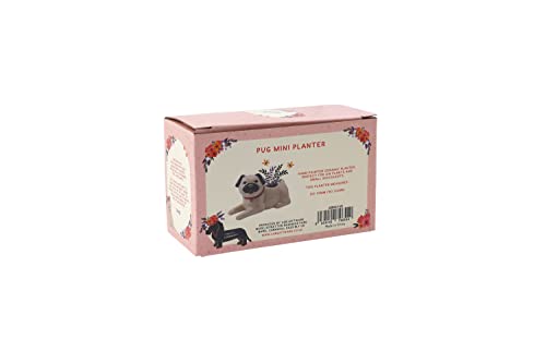 Mini maceta de aire interior para perros Pug Dog | Mascotas | caja de regalo | accesorios para el hogar | impresiones florales por CGB Giftware | GB06168