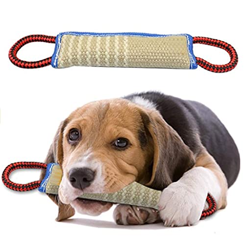 Mordedor de Entrenamiento Palo para morder con borde azul para entrenamiento de perros Pastor alemán para entrenamiento de perros adultos Perro pastor alemán con palo para morder almohada para morder