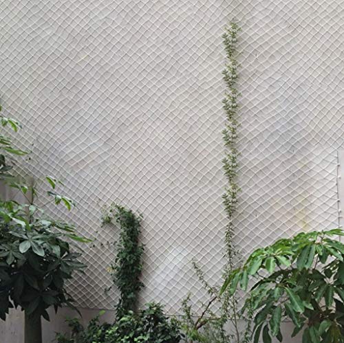 Netting Valla Escaleras Malla Blanco Mascota Perro Gato Anti-escape Neto Obstáculo Curso Entrenamiento Trepar La Red De Carga De La Escalada De La Escalera De La Barandilla(Size:6*8m（20*26ft）)