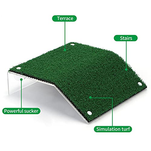 Nobleza - Plataforma Tortugas, Verde Realista Césped Tortugas Basking Plataforma con Ventosas, para Tortuga o Reptil, L20*W21CM