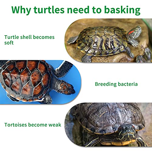 Nobleza - Plataforma Tortugas, Verde Realista Césped Tortugas Basking Plataforma con Ventosas, para Tortuga o Reptil, L20*W21CM
