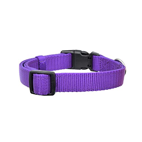 Olahibi Collar de nailon acolchado suave y cómodo para perros grandes (L, collar morado)