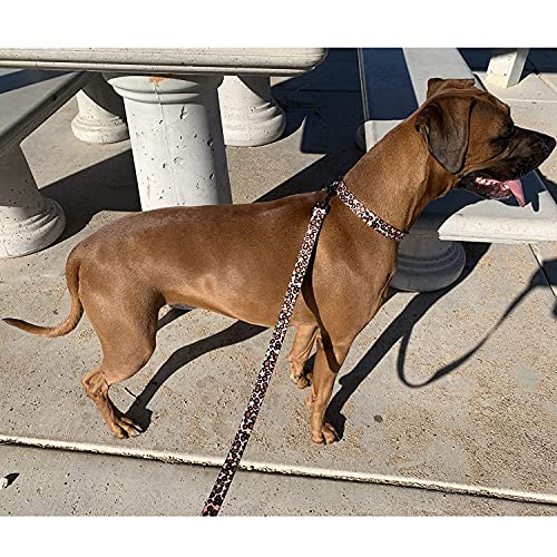 Olahibi Juego de 2 correas de cuello de perro de poliéster en 1, collar con patrón de leopardo y correa a juego de 5 pies para perros grandes (L, leopardo)