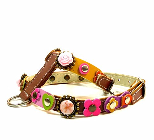 Original Arnés para Perros, Cuero Marrón, Correa Opcional, Diseño Vintage con Flores y Rosas, Colores Rosa Lila Verde Amarillo, Pequeño, Chihuahua y Cachorro, S: Cuello 18-22 cm, Pecho 32-37 cm