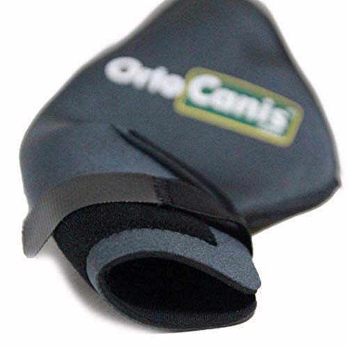 Ortocanis Protector de Rodilla para Perros Original - Lesiones de ligamentos Cruzados, luxación de rótula, artrosis - Talla XL (Derecha)