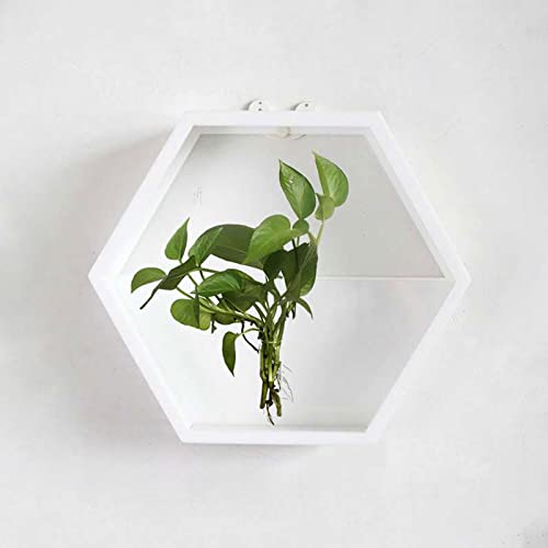 Oukerde Pecera de Pared,Jardinera Pared Vidrio,Acuario Colgante acrílico,Planta decoración tazón pecera Betta Burbuja montada en la Sala Estar casa Comedor (Negro)