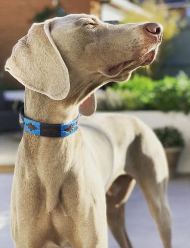 pampeano | Azules - Cuello Polo para Perros Artesanal Argentino en Piel de Primera Calidad | Caja de Regalo | Todas Las Razas de Perros | Hebilla de Acero Inoxidable Cosida a Mano de 1,5 cm de Ancho