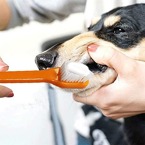Pasta De Dientes Cepillo De Dientes para Los Perros Gatos Cepillar Los Dientes Limpiador De Aliento para Mascotas Ambientador Oral Care Dental Kit De Limpieza del Cepillo De Dientes Set