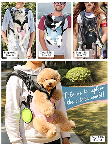 Pawaboo Mochila del Perro, Bolso para Mascotas, Adjustable Bolsa Delantera para Perro Pequeño, Bolsa de Transporte de Mascotas para Viajar/Senderismo-Talla M- Azul de Lago