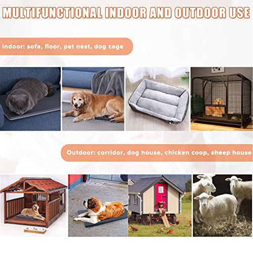 Pecute Alfombrilla térmica para Mascotas, Carcasa Dura de ABS Mejorada, calefacción de Temperatura Constante, protección de Alta Temperatura, Adecuado para Uso en Interiores y Exteriores