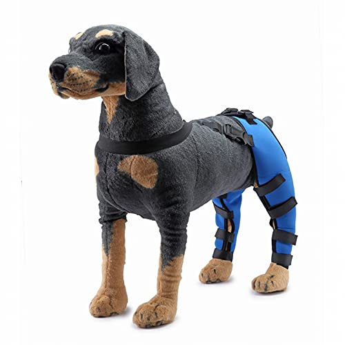 Peluquería de la rodilla para perros, llaves de perros para las piernas traseras Super Supportive, PET DOG DOCE Doble Pierna trasera Braques de apoyo, para curar las Blue-S