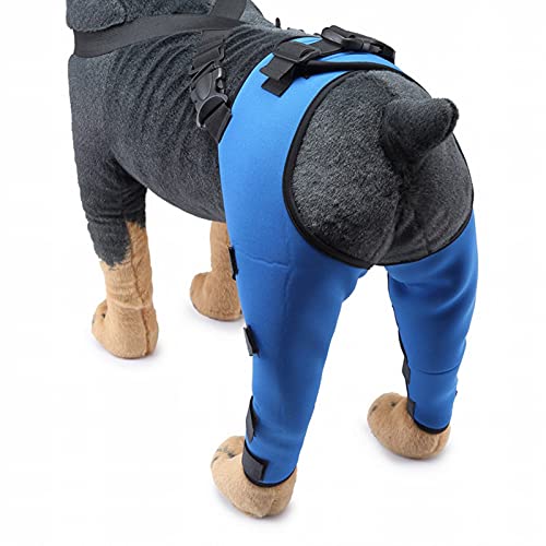 Peluquería de la rodilla para perros, llaves de perros para las piernas traseras Super Supportive, PET DOG DOCE Doble Pierna trasera Braques de apoyo, para curar las Blue-S