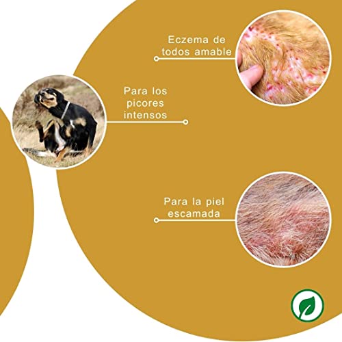 Peticare Perro Locion contra Dermatitis Atopica - Tratamiento Eficaz para Todas Formas Eczema, Detiene Picores Fuerte, Productos de Cuidado - petDog Health 2100