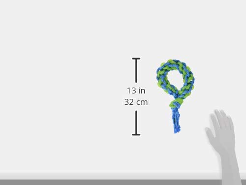 PETMATE Juguete JW Anillo de Cuerda Elástica para Perro