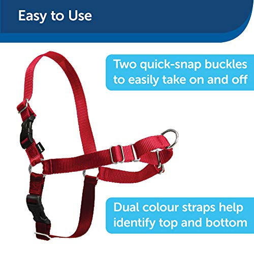 PetSafe Easy Walk - Arnés para Perros pequeños, medianos o Grandes, Correa de 1,8 m, Talla M, Color Rojo