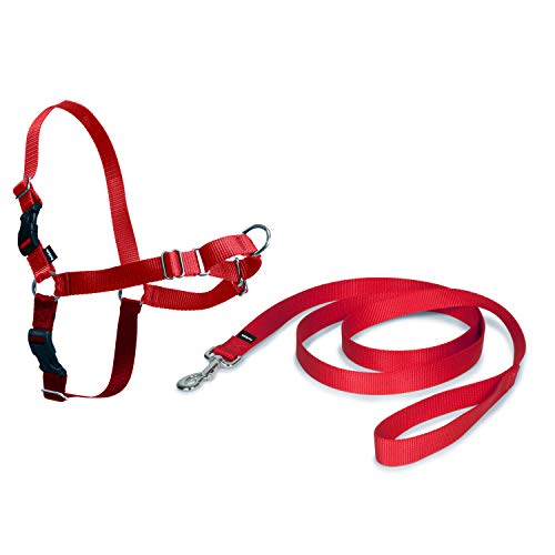 PetSafe Easy Walk - Arnés para Perros pequeños, medianos o Grandes, Correa de 1,8 m, Talla M, Color Rojo