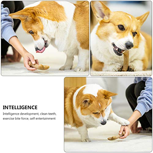 POPETPOP Juguete para Masticar Perros Hueso de Madera Juguete de Dentición para Mascar Agresivos Color Al Azar